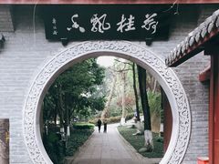 -桂湖森林公园