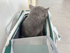 -爱诺耐芙动物医院(万博店)