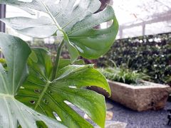 -瓷语堂(上海五维空间创意园店)