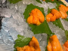 -月龍吟(朝龙汇店)
