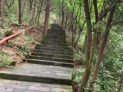-铁山坪森林公园