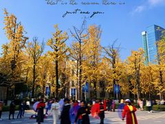 -百林公园-两江幸福广场