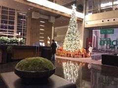 -上海外滩茂悦大酒店