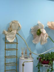 -斐尔国际皮肤管理中心