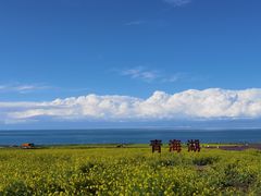 -青海湖国家重点风景名胜区