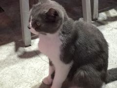 -MIKAKU(万达广场上海宝山店)