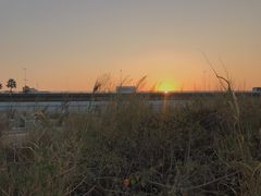 -海堤纪念公园