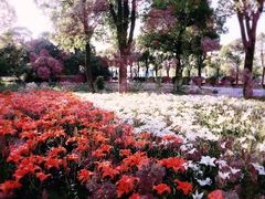 -上海鲜花港