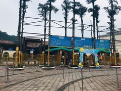 -重庆海昌加勒比海水世界