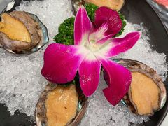 鲜活小鲍鱼-新一哥粤菜火锅(瑞金店)