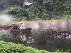 -广州长隆飞鸟乐园