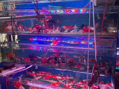 -双季花艺园艺市场(浦东店)