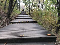 -帽儿山国家森林公园