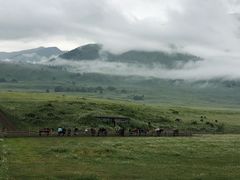 -喀纳斯禾木山庄