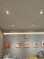 -洗脸猫·洗脸吧