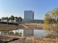 -春花秋色城市公园