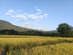 -塔川景区