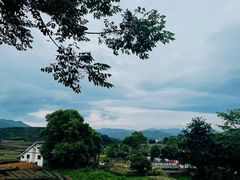 -龙坞茶村
