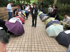 -人民公园-相亲角