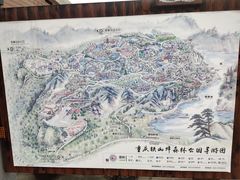 -铁山坪森林公园