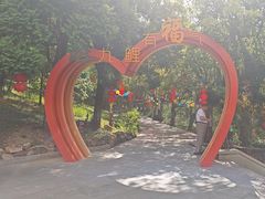 -九鲤湖风景区