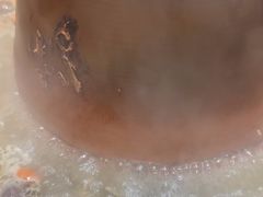 -东来顺饭庄(上地华联店)