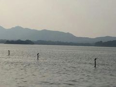 -西湖天地