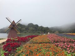 -广州市石门国家森林公园