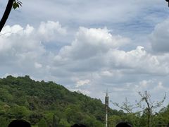 -凤栖山