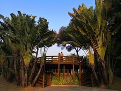 -深圳国际园林花卉博览园