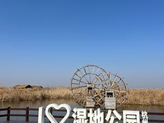 -宁波杭州湾国家湿地公园