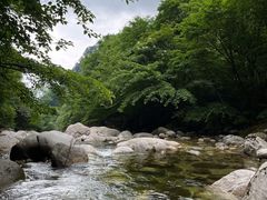 -青峰峡国家森林公园