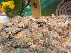 -苏格里岛自助海鲜火锅烧烤(大汉悦中心店)