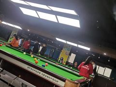 -新新潘晓婷台球俱乐部(周浦店)