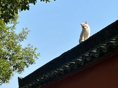 -南北湖风景区