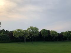 -北坞公园