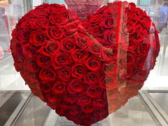 -ROSEONLY诺誓(广州K11店)