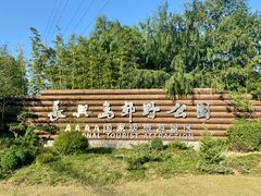 -上海长兴岛郊野公园