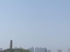 -江心屿景区