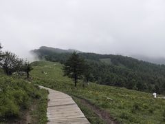 -驼梁风景区
