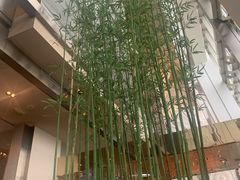 -上海柏悦酒店·世纪100牛排馆