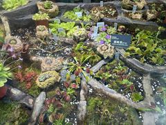 -国家植物园南园