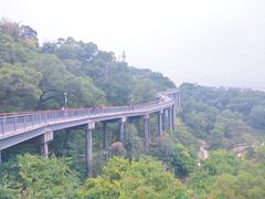 -金鸡山公园