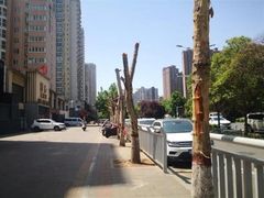-阿五黄河大鲤鱼(英协路店)