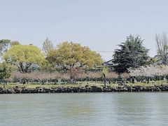 -苏州古运河游船(新市桥码头)