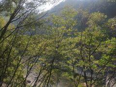 -燕子河大峡谷天坑仙境