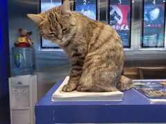 -神盾局科技密室(永川万达广场店)