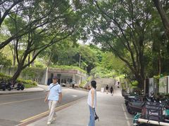 -华侨城湿地公园