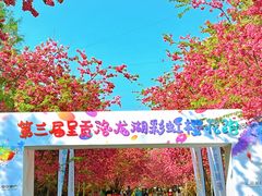 -洛龙公园