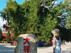 -大槐树寻根祭祖园